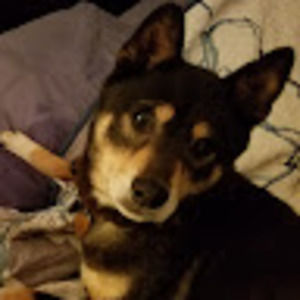 Meet your Posher, Terri